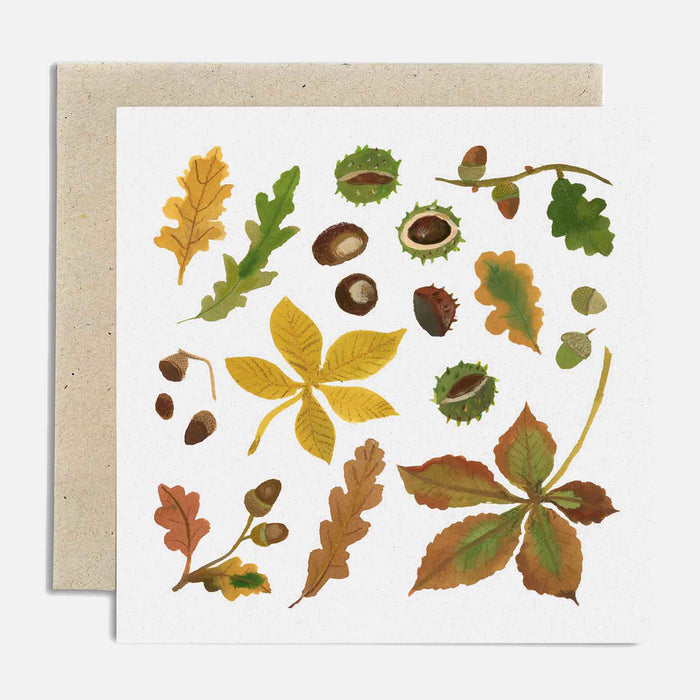 Autumn Finds