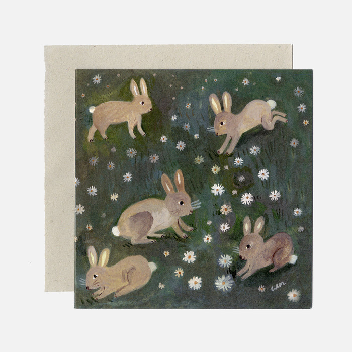 Rabbits