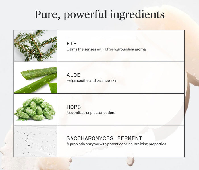 Ursa Major Forest Fix Deodorant