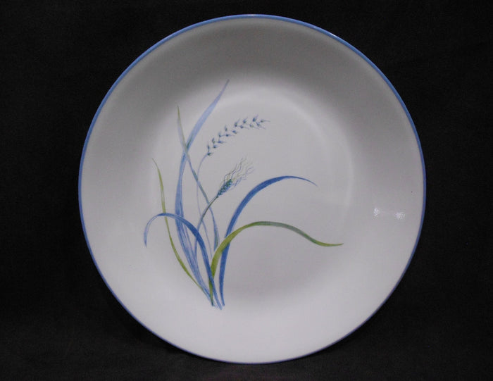 1 Corelle COASTAL BREEZE Sandstone SMOOTH COUPE DINNER PLATE *Ocean Blue Green