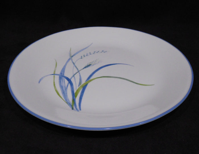 1 Corelle COASTAL BREEZE Sandstone SMOOTH COUPE DINNER PLATE *Ocean Blue Green