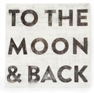 To the Moon and Back