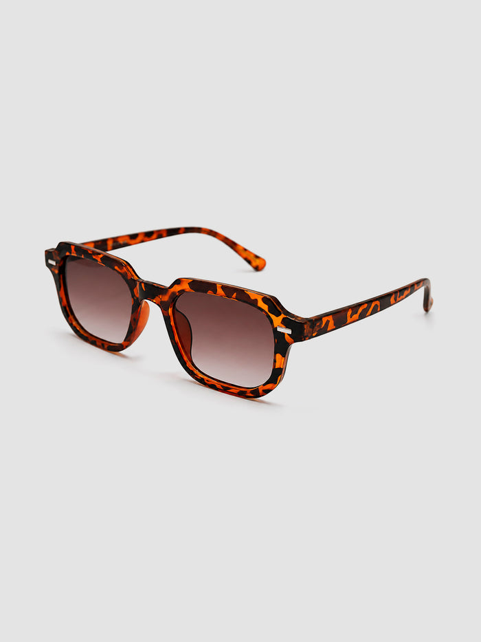 sunglasses / Brown Lior Sunglasses