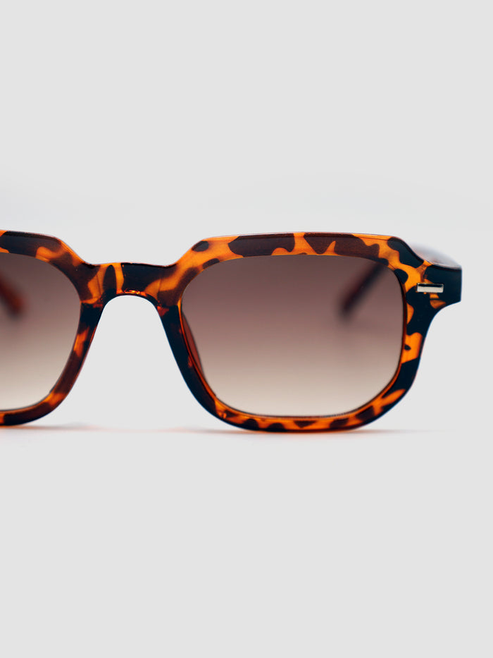 sunglasses / Brown Lior Sunglasses