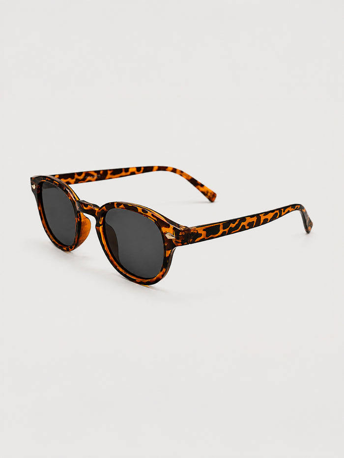 sunglasses / Brown Solan Sunglasses
