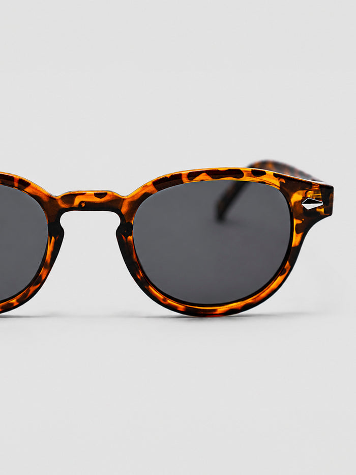 sunglasses / Brown Solan Sunglasses