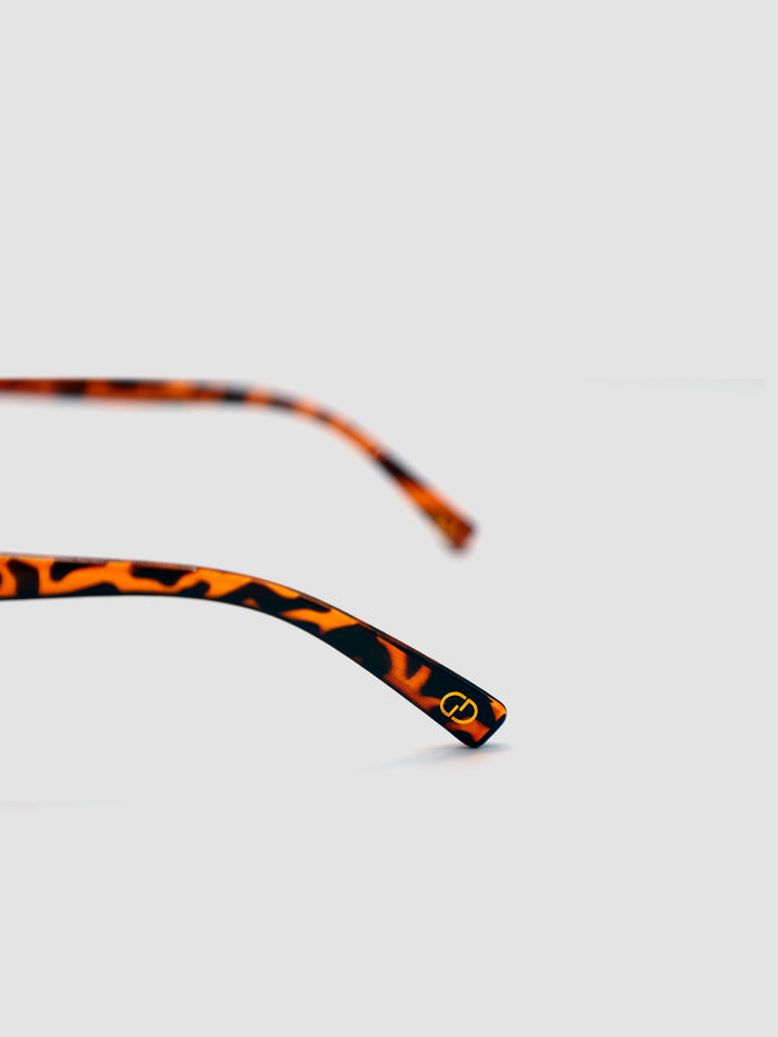 sunglasses / Brown Solan Sunglasses