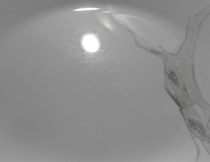 ❤️ Corelle SILVER BIRCH Choose: 11" DINNER or 8.5" LUNCH PLATE / Tree Branches