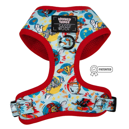 The Sassy Woof Dog Adjustable Harness - Looney Tunes™ Blue features colorful cartoon graphics, red trim, a patented badge icon, and is made from custom printed neoprene for comfort.