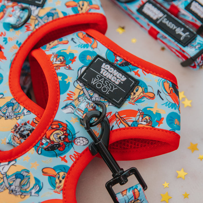 Close-up of the Sassy Woof Dog Adjustable Harness - Looney Tunes™ Blue, custom printed in soft neoprene with bright orange edges and a Sassy Woof label, surrounded by small gold star confetti.