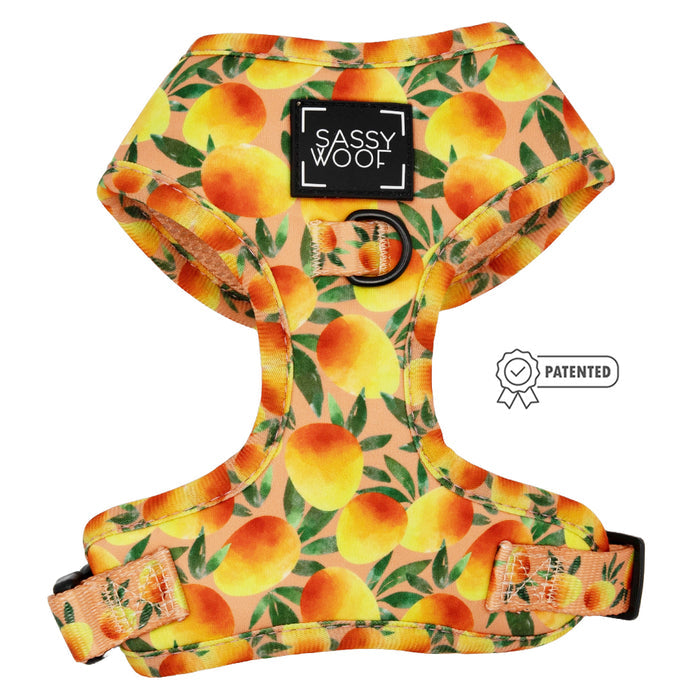 The Sassy Woof Dog Adjustable Harness - Mango Tango features a vibrant mango pattern with green leaves, an orange Sassy Woof label on the front, a sturdy black D-ring for leash attachment, and a patented no pull harness icon.