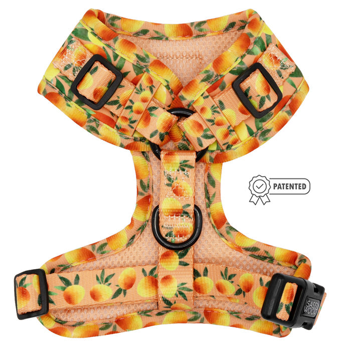Sassy Woof's Dog Adjustable Harness - Mango Tango features an orange and yellow mango pattern, black buckles and rings, and a small "patented" badge, all displayed on a white background.