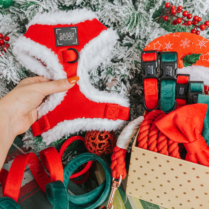 A hand holds a Sassy Woof Dog Adjustable Harness - Naughty in red and white in front of a decorated Christmas tree, with festive holiday dog accessories like collars, leashes, and more displayed nearby in a box.