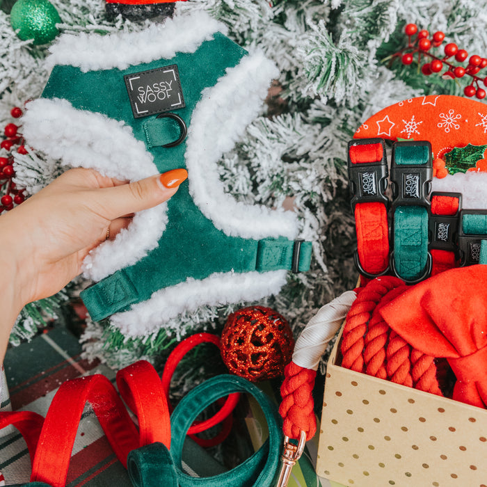 A hand holds a green and white Dog Adjustable Harness - Nice by Sassy Woof in front of a decorated Christmas tree, with holiday dog accessories—festive leashes, collars, and toys—arranged in a nearby box.