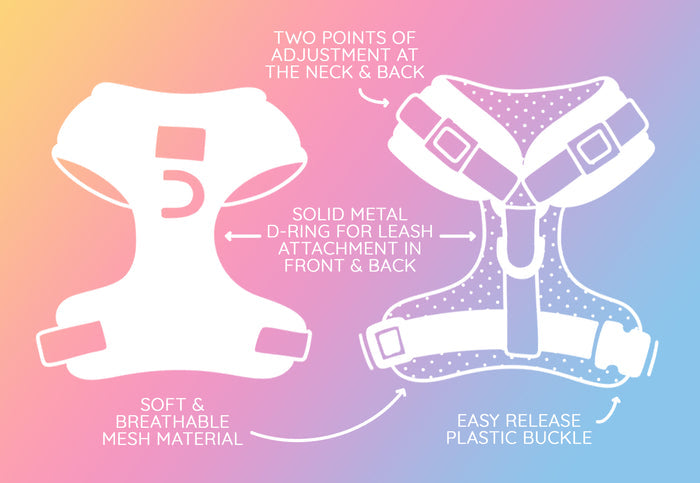 Illustration of Sassy Woof Dog Adjustable Harness - MLB™ x Peanuts™ Atlanta Braves™, front and back, showing two adjustment points, solid metal D-ring, soft mesh material, and easy-release buckle on a pink and blue gradient background.