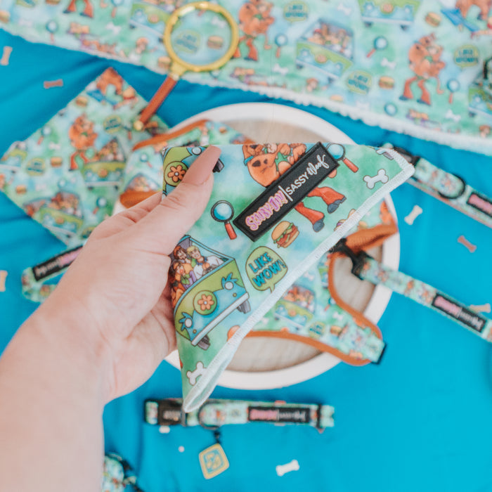 A hand holds a colorful pet bandana with cartoon Scooby-Doo-themed designs. Matching pet accessories, including collars and leashes, are spread on a blue background.