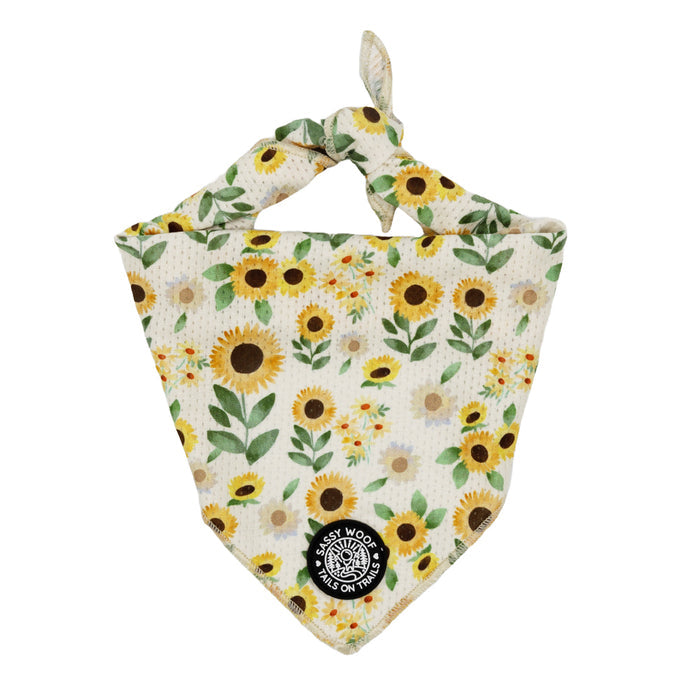 The Sassy Woof Dog Bandana - Sunflower Dreams is a cream, triangular bandana featuring sunflowers and green leaves. Fold and tie it at the top; a black patch displays the Sassy Woof logo—ideal to match your favorite sunflower collar.