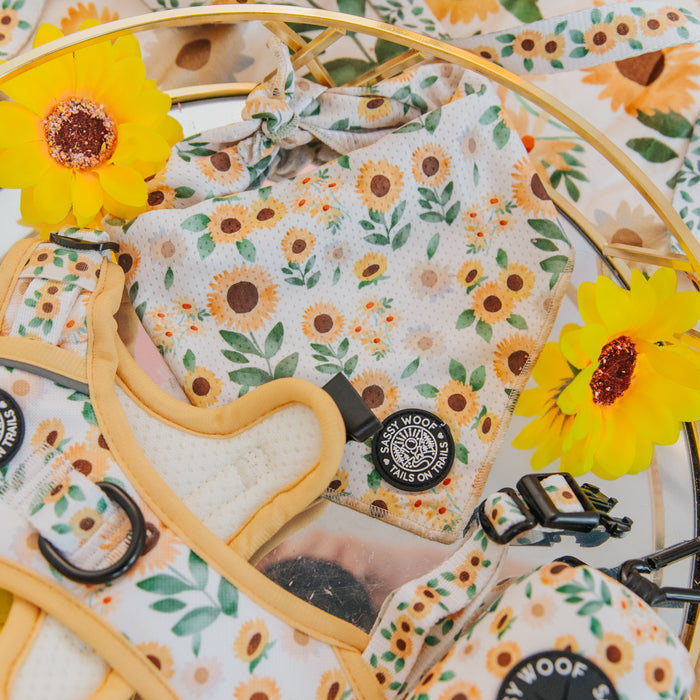 The Sassy Woof Dog Bandana - Sunflower Dreams, with yellow trim, is displayed alongside a matching harness, pouch, and lightweight mesh collar. Two artificial sunflowers accent the branded accessories on a white surface.