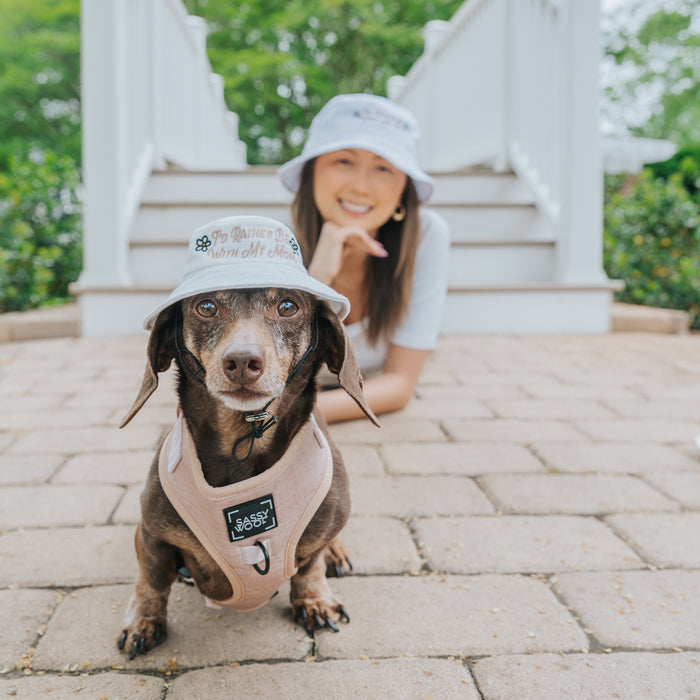 A brown dachshund wears the Sassy Woof Dog Bucket Hat - "I’d Rather Be With My Mom" and harness while sitting on a stone path, with a woman in a matching hat smiling in the blurred background by white steps outdoors.