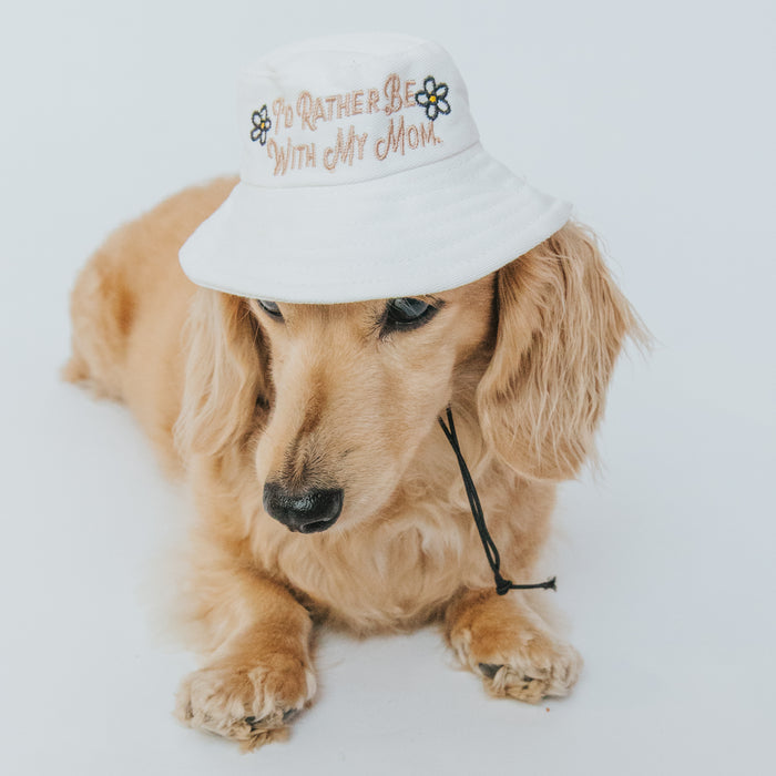 A long-haired dachshund sits against a white background wearing the Sassy Woof Dog Bucket Hat - I'd Rather Be With My Mom, embroidered with flowers and text.
