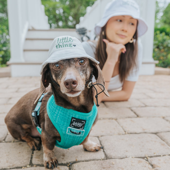 A brown dachshund in a teal harness and Sassy Woof's Dog Bucket Hat - Little Thing sits on a brick path. Behind, a woman in a matching hat and white outfit lies smiling, with steps and greenery completing the background.