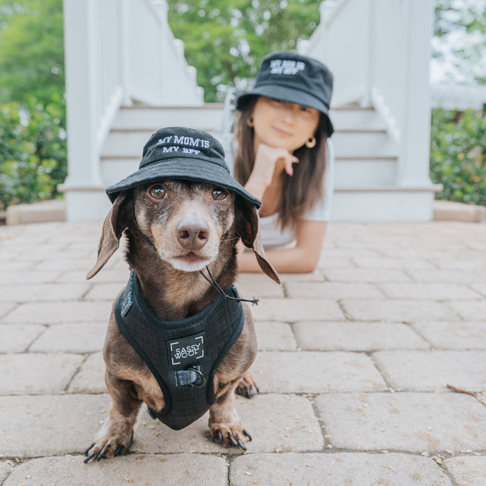 A brown dachshund in a Sassy Woof "Dog Bucket Hat - My Mom is my BFF" and harness sits on a stone path, with a woman behind in a matching embroidered bucket hat and white shirt, both facing the camera by white stairs.