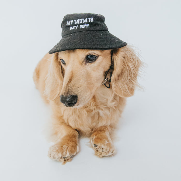 A light brown, long-haired dachshund wears the Sassy Woof Dog Bucket Hat - My Mom is my BFF (black, embroidered) while sitting on a white background.