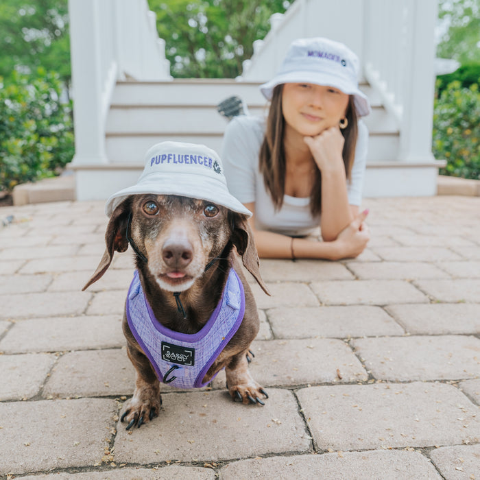 A small brown dog in a Sassy Woof Dog Bucket Hat - Pupfluencer and a purple harness sits on a stone path, with a woman in a white hat and shirt lying behind it. Both face the camera, steps and greenery visible in the background.