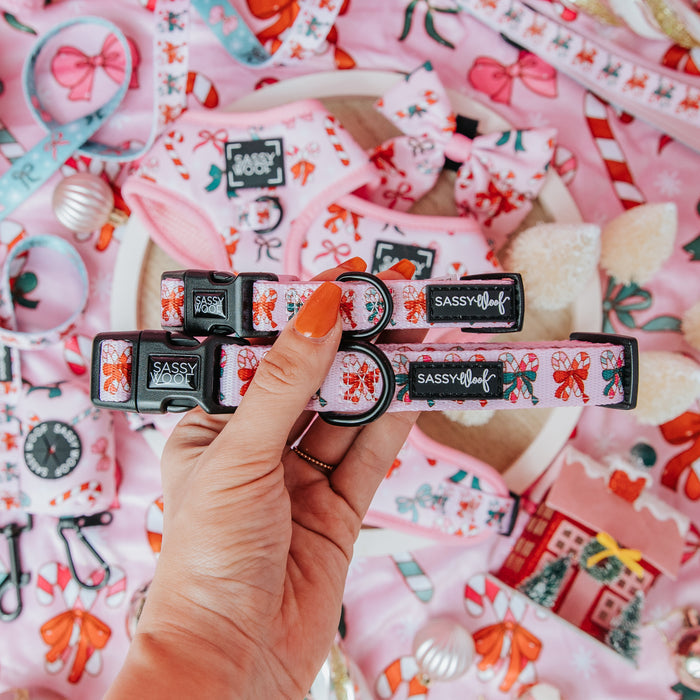 A hand with orange nail polish holds two Sassy Woof Dog Collar - Candy Cane Coquette, featuring red and pink holiday designs, surrounded by matching festive dog accessories on a colorful holiday-themed background.