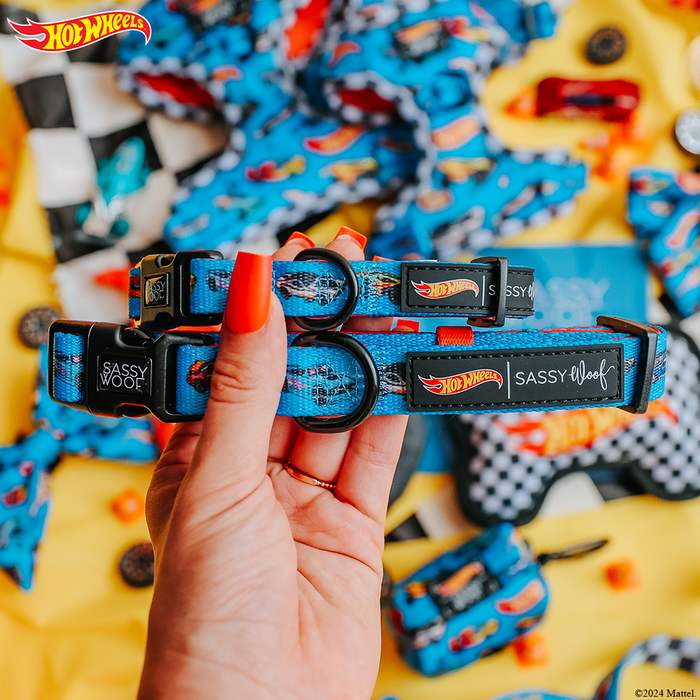 A hand with bright red nails holds two Sassy Woof Dog Collar - Hot Wheels™ adjustable collars with race car designs, while more Hot Wheels-themed dog accessories are displayed in the background on a yellow surface.