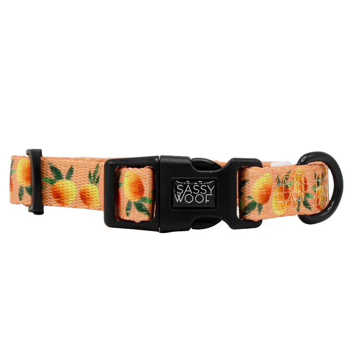 The Dog Collar - Mango Tango by Sassy Woof features a peachy pattern with green leaves, adjustable fit, black plastic buckle, and metal D-ring—a vibrant accessory perfect for your pup's daily walks.