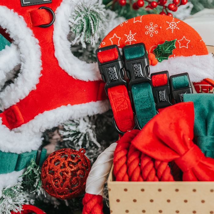 A close-up of festive Sassy Woof accessories, featuring the Dog Collar - Naughty, a red bow, an adjustable harness with white trim, and a red ornament, all displayed before a decorated Christmas tree.