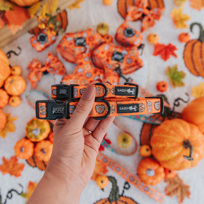 A hand holds two orange Sassy Woof Dog Collar - Pupkin Donuts collars with Halloween designs. In the background are pumpkins, autumn leaves, and other festive dog accessories with similar patterns.