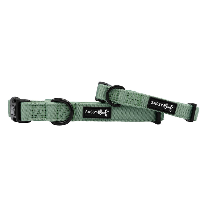 Two Sassy Woof Dog Collar - Sage adjustables with black plastic buckles and metal rings, both featuring the Sassy Woof label, are overlapped on a white background—ideal for a puppy's growth plan.