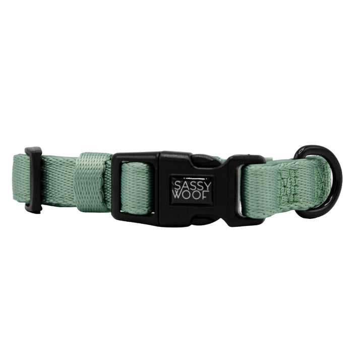 The Sassy Woof Dog Collar - Sage features an adjustable fit, black plastic buckle, sturdy metal D-ring, and signature label—ideal for your puppy’s growth.