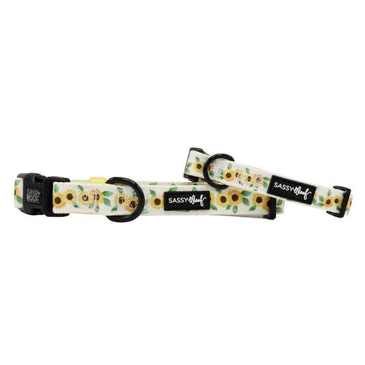 The Sassy Woof Dog Collar - Sunflower Dreams features a cheerful sunflower pattern on white, black plastic buckles, D-rings, and the “Sassy Woof” logo tag—perfect for adding stylish flair to your pup’s look.