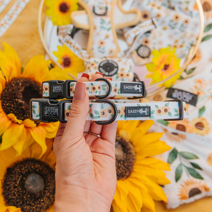 A hand holds two Sassy Woof "Dog Collar - Sunflower Dreams" adjustable collars. Bright yellow sunflowers, matching accessories, and durable neoprene details are displayed in the background.