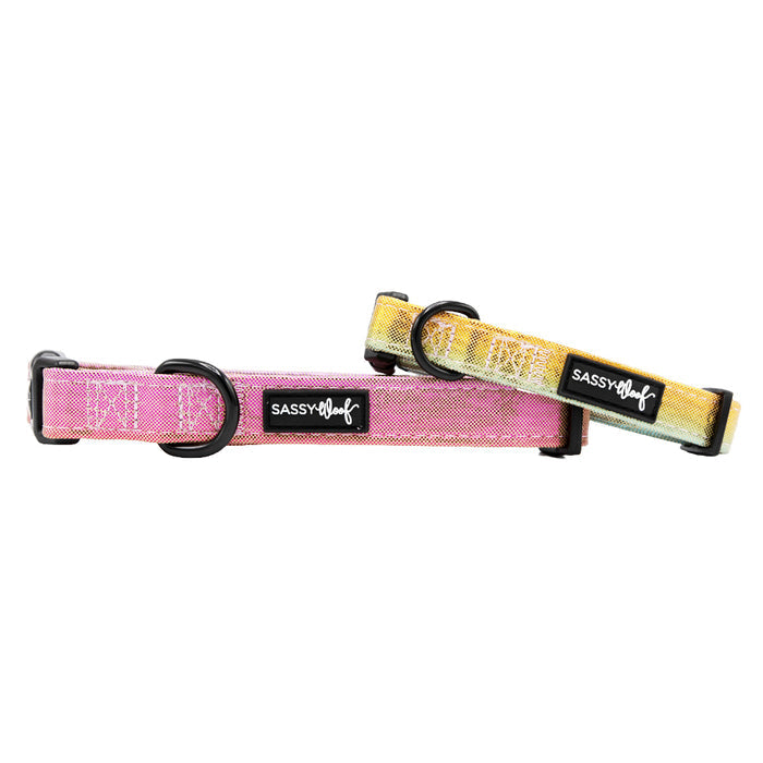 Two Sassy Woof "The Night Life" adjustable neoprene dog collars, one pink and one yellow with black plastic buckles and logo tags, are displayed side by side on a white background.