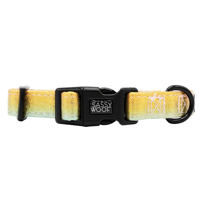 The Sassy Woof Dog Collar - The Night Life features a yellow and light blue gradient, black plastic buckle, center Sassy Woof logo, metal D-ring for leash attachment, and is made of neoprene.