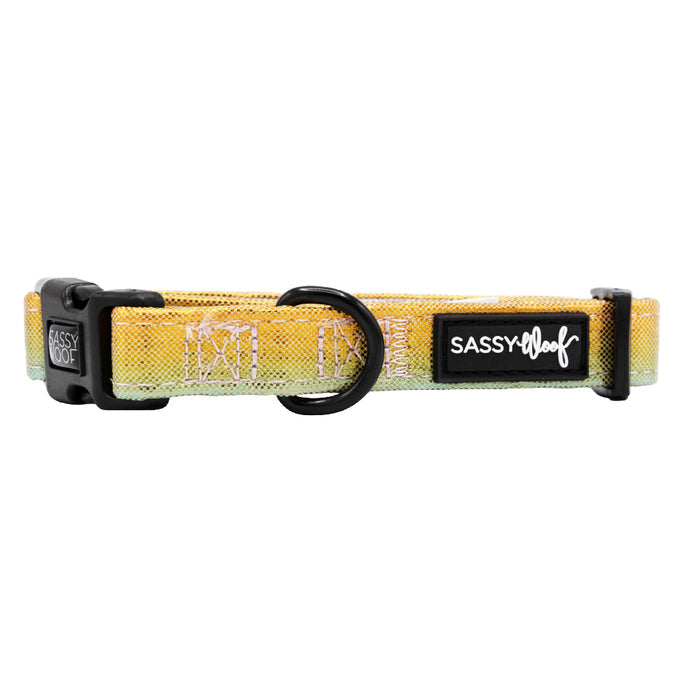 The Night Life Dog Collar by Sassy Woof features yellow and green disco colors, black plastic buckles, a metal D-ring, and a branded black label. This adjustable collar is stylish and comfortable for your pup.