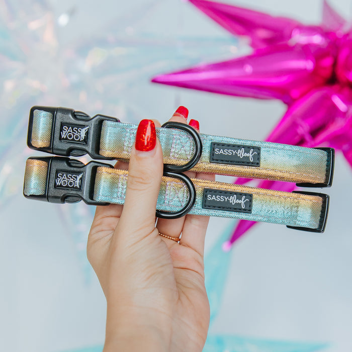 A hand with red nail polish holds two iridescent Sassy Woof Dog Collar - The Night Life pieces, set against a vibrant background decorated with shiny stars.