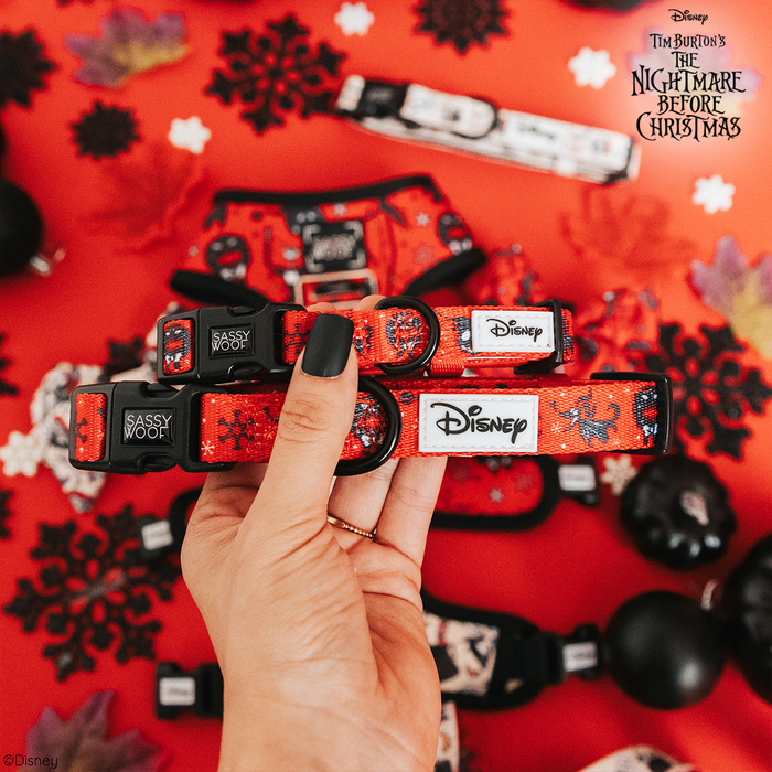 A hand holds two red Sassy Woof Dog Collar - The Nightmare Before Christmas™ with black accents. More adjustable collars and themed decor are displayed on a red surface in the background.