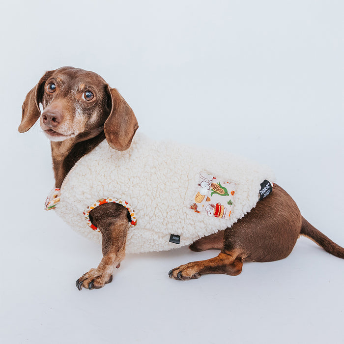 A brown dachshund in the Sassy Woof Dog Reversible Sherpa Jacket - Peanuts™ Harvest sits on a white background, looking up with its head slightly turned.