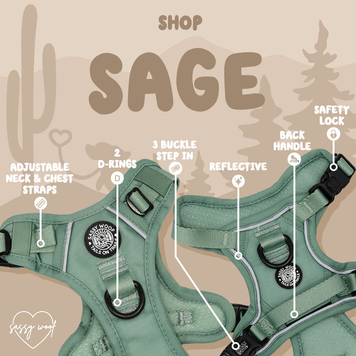 Sassy Woof Dog Step-in Harness - Sage: Adjustable neck/chest, 2 D-rings, 3-buckle design, reflective accents, back handle & safety lock. Shop Sage text with desert graphics in the background.