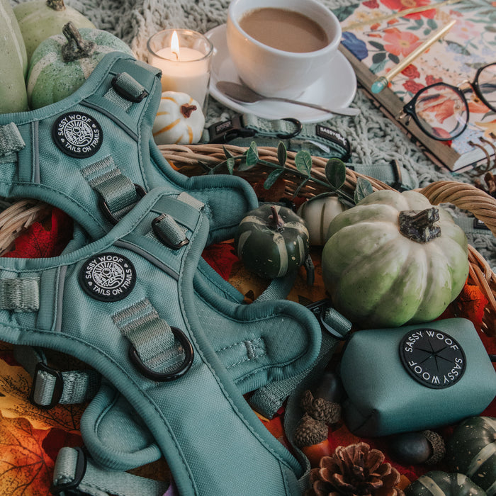 A wicker basket displays the Sassy Woof Dog Step-in Harness in Sage, a matching pouch, small pumpkins, pinecones, a lit candle, coffee cup, glasses, and a floral notebook on a cozy autumn-inspired background.