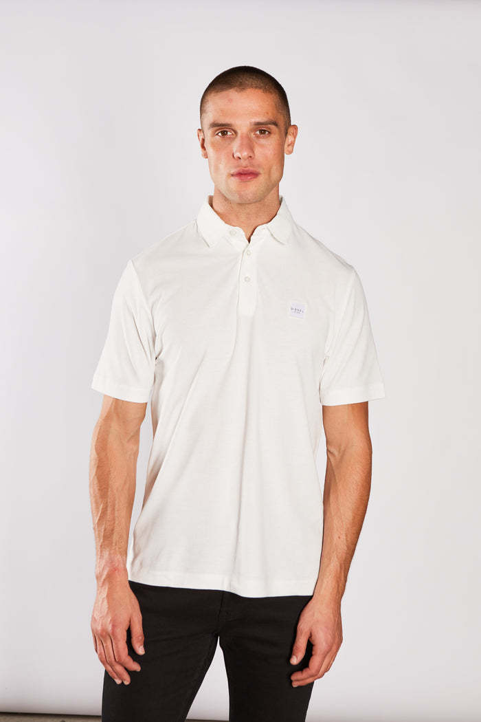 Dre Polo Antartic