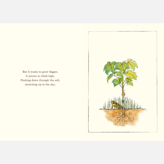 It Starts With A Seed