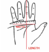 Measurements image