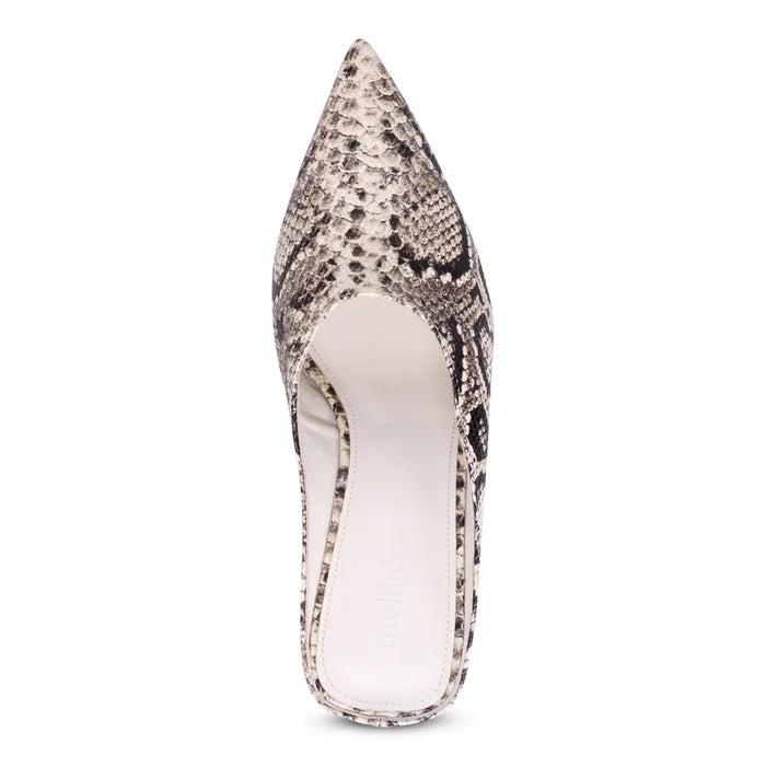 Mollini LOE Heeled Mule in Snakeskin