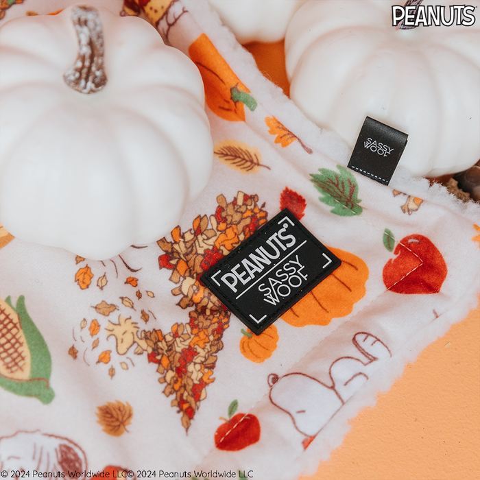 The Pet Blanket - Peanuts™ Harvest by Sassy Woof features soft sherpa fabric with autumn leaves, pumpkins, and Peanuts characters, shown beside two white pumpkins. The blanket displays both Sassy Woof and Peanuts labels.